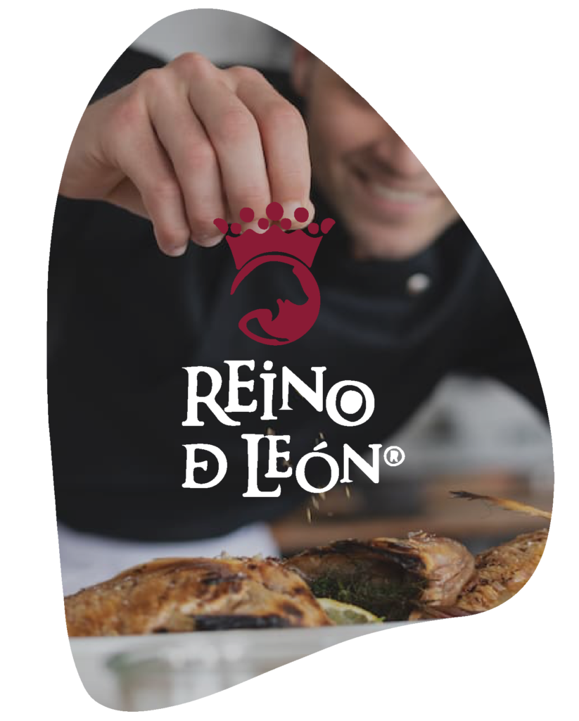 reino de leon